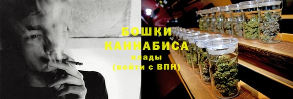 ПСИЛОЦИБИНОВЫЕ ГРИБЫ Магас
