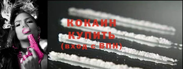 шишки Майский