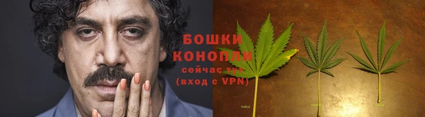 шишки Майский
