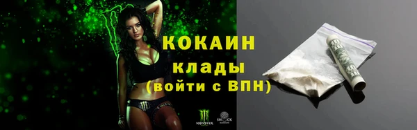 шишки Майский