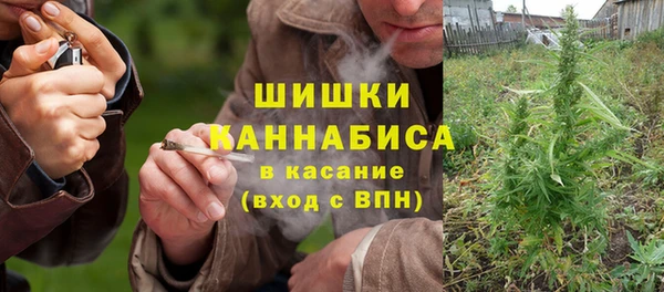 ПСИЛОЦИБИНОВЫЕ ГРИБЫ Магас
