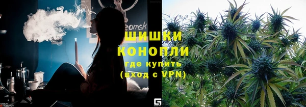 ПСИЛОЦИБИНОВЫЕ ГРИБЫ Магас