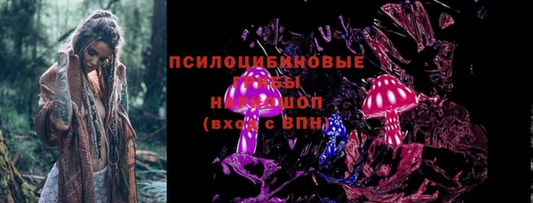 ПСИЛОЦИБИНОВЫЕ ГРИБЫ Магас
