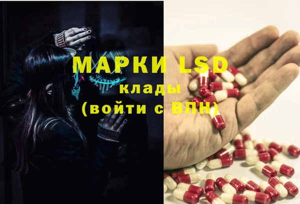 шишки Майский