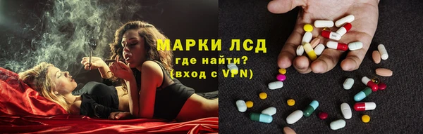 шишки Майский