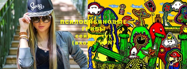 ПСИЛОЦИБИНОВЫЕ ГРИБЫ Магас