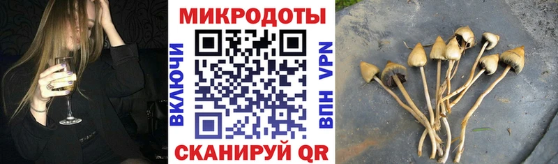 hydra tor  Александров  Псилоцибиновые грибы мухоморы 